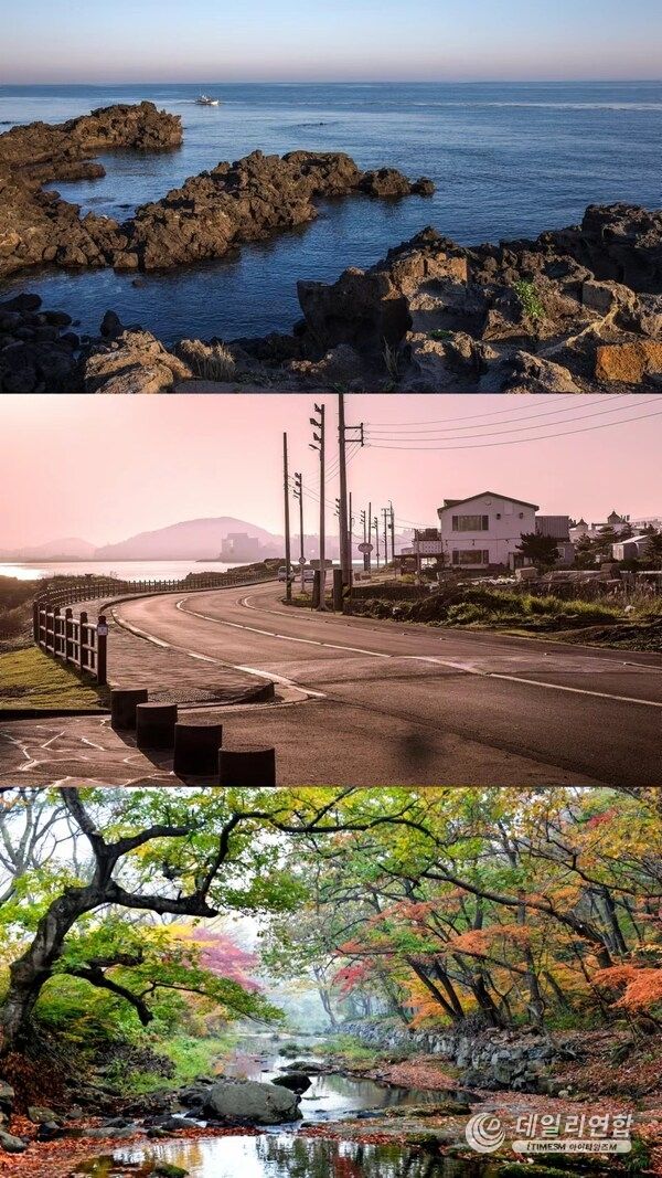 Photo shows the scenery of Gunsan City of the Republic of Korea. (Provided by Longkou City)