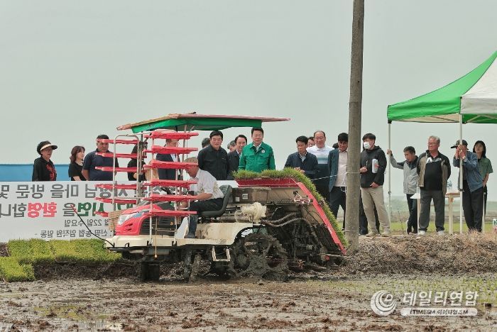 오성환 당진시장, 풍년 농사 기원 모내기 시연