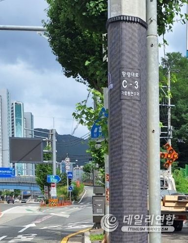 부산 남구, 불법벽보방지판 정비 실시!