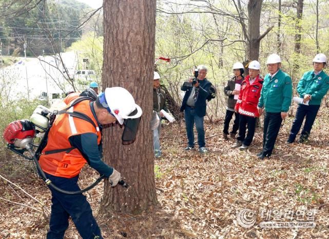 영광군수, 장성군 경계에서 맞춤형 소나무재선충 방제 지휘