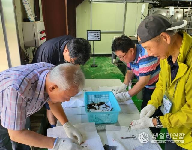 미꾸리 채란 실습