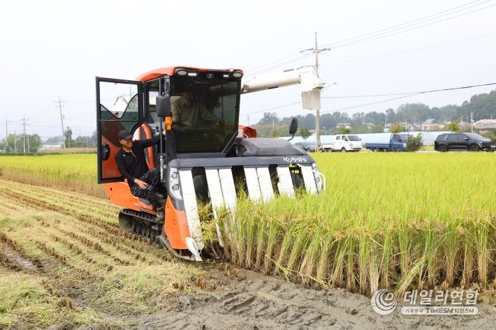 충주시 지역대표 쌀 신품종 중원진미 첫 수확(조길형 시장 트랙터 운전하며 벼 베기)