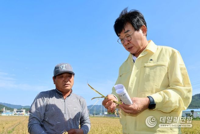 벼 깨씨무늬병’ 피해 최소화 총력 대응