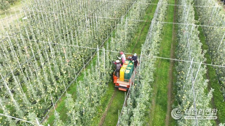 청송군, 2026년도 과수생산분야 지원사업 신청접수