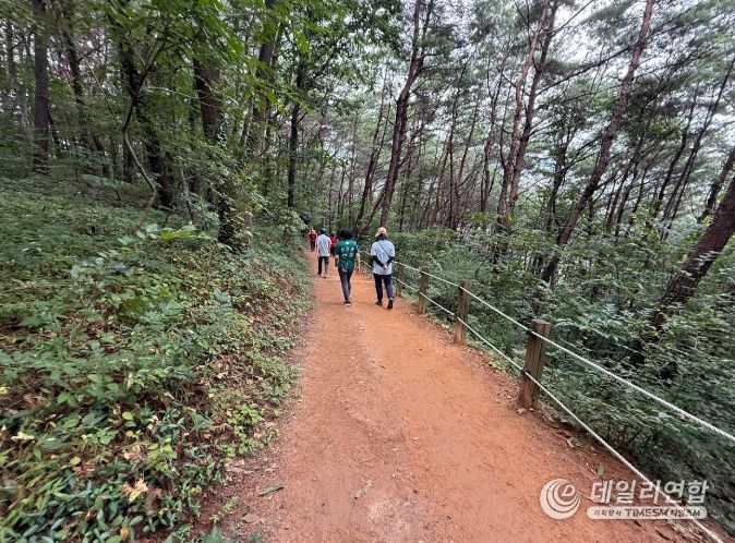 조례호수공원 산책로 환하게 밝힐 조명공사 착공