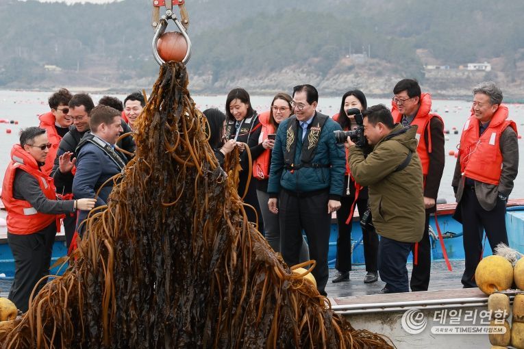 사진은 미 에너지부 산하기관 에너지 고등 계획원(ARPA-E) 관계자 완도군 해조류(미역) 양식장을 방문한 모습
