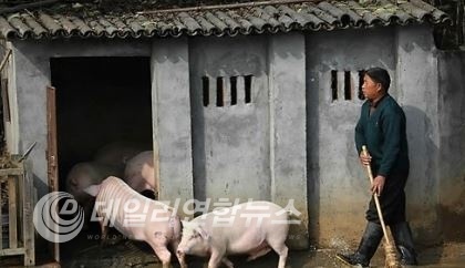 ▲ 사진출처=서울 연합뉴스