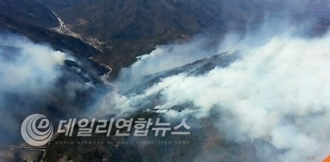사진=강릉산림항공관리소