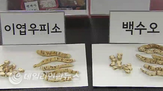 SBS 뉴스