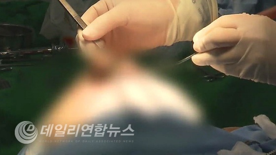 SBS 뉴스