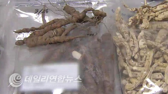 SBS 뉴스