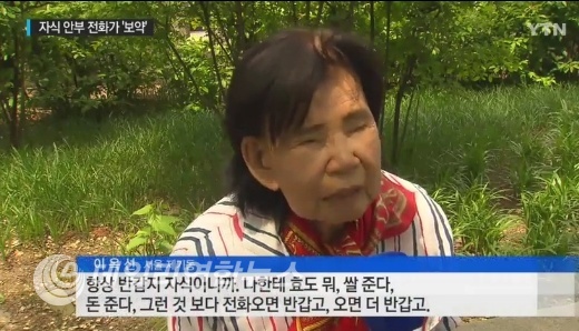 사진 : YTN 뉴스 화면