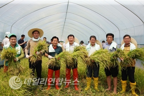 임금님표 이천쌀 첫 수확의 기쁨 만끽하는 모습